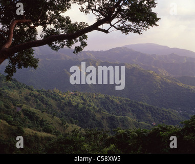 Il Blue Mountains, Giamaica, Antille Maggiori, dei Caraibi Foto Stock