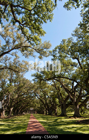 White Oaks a New Orleans plantation Foto Stock