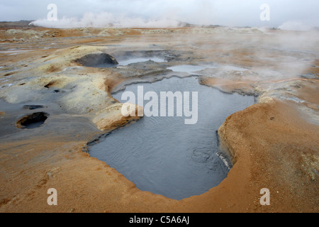 Fango bollente, piscina Namafjall area geotermica, nei pressi del Lago Myvatn, nordest, Islanda Foto Stock