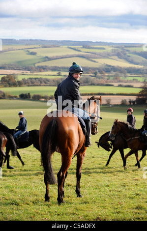 I piloti di lavoro l'esercizio dei cavalli da corsa in corrispondenza di una stabile nel GLOUCESTERSHIRE REGNO UNITO Foto Stock