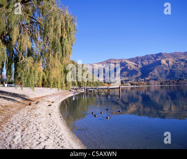 Vista sul lago in autunno, il lago Wanaka, Wanaka, Regione di Otago, Isola del Sud, Nuova Zelanda Foto Stock