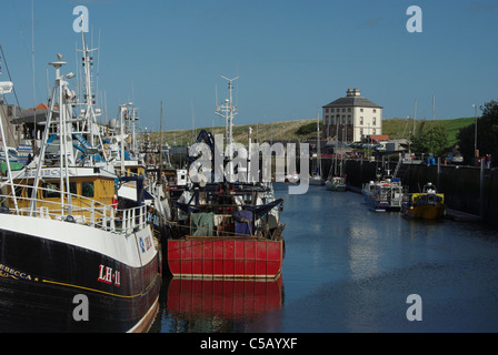 Barche da pesca in porto a Eyemouth, Scottish Borders, Gunsgreen casa sullo sfondo Foto Stock