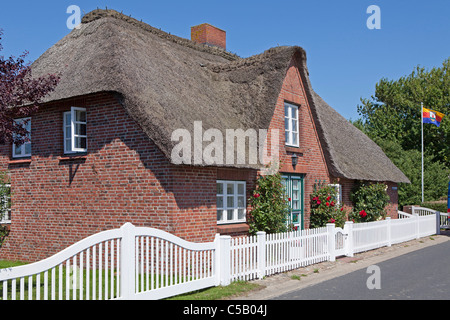 Casa di paglia, isola di Pellworm, Nord Friesland, Schleswig-Holstein, Germania Foto Stock