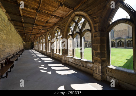 Il chiostro in Durham Cathedral, County Durham, North East England, Regno Unito Foto Stock