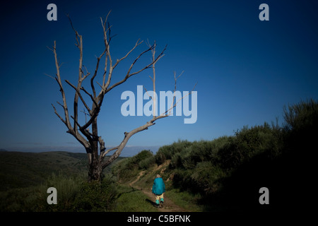 Un pellegrino passeggiate sotto un albero morto in una pista situata nel modo francese di St. James' modo di El Bierzo, Castilla y Leon, Spagna Foto Stock