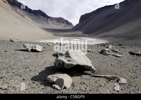 Ventifacts a Don Juan Pond, la maggior lago salino sulla terra, vicino al lago di Vanda nella valle di Wright McMurdo valli a secco il Mare di Ross Antartide Foto Stock