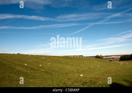 Un paesaggio di campagna inglese con pecore in un campo Foto Stock