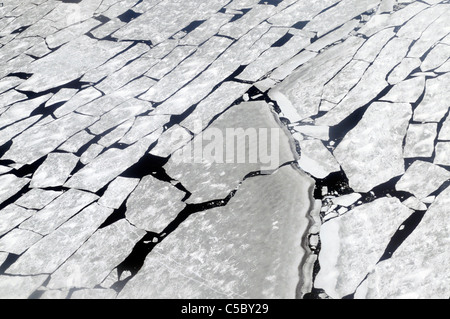 Mare di ghiaccio rottura a Baia Terra Nova Antartide Foto Stock