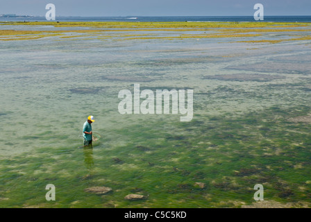 Pescatore in piedi in mare poco profondo Foto Stock