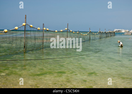 Pescatore in piedi in mare poco profondo Foto Stock