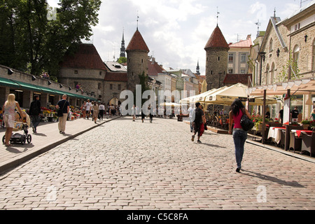 Strada di ciottoli con fiore si spegne al Gate Viru, la città vecchia di Tallinn, Estonia Foto Stock