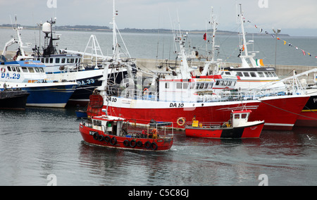 Clogherhead barche da pesca Co. Louth Irlanda Foto Stock