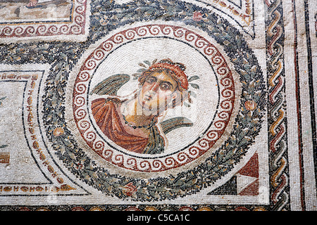 Mosaico romano, il Museo di Bardo, Tunisi, Tunisia Foto Stock