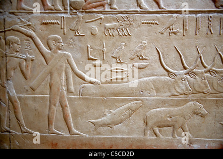 Rilievo, Mastaba di Kagemni (c. 2300 BC), Saqqara, Egitto Foto Stock