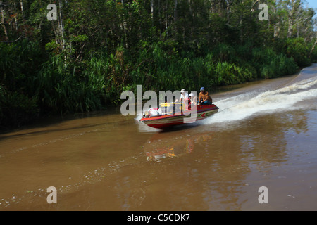 La popolazione locale utilizzare un più costoso ma più veloce motoscafo come acqua taxi sul fiume Sekonyer, Tanjung messa Parco Nazionale Foto Stock