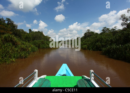 Un fiume di legno barca, localmente denominata "Klotok' crociere del fiume Sekonyer in Tanjung messa National Park, Kalimantan centrale. Foto Stock