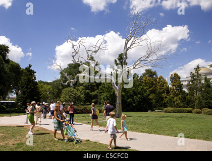 Galleria Nazionale di Arte Scultura garden Foto Stock