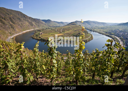 Ansa del fiume Moselle presso il villaggio Bremm, Moselle, Renania-Palatinato, Germania, Europa Foto Stock