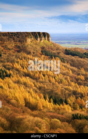 Vista verso la cicatrice Roulston da Sutton Bank Sutton sotto Whitestonecliff il North York Moors National Park, North Yorkshire, Regno Unito Foto Stock