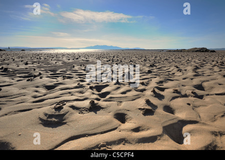 Sfreccia su una spiaggia sabbiosa con la marea fuori, Ardrossan, Scozia, Regno Unito Foto Stock