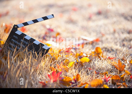 Filmato su ardesia la caduta foglie Foto Stock