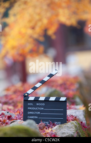 Filmato su ardesia la caduta foglie Foto Stock