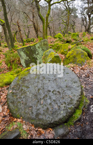 Legno Bolehill Padley Gorge Derbyshire Peak District Burbage Brook Grindleford Nether Padley Paley superiore Foto Stock