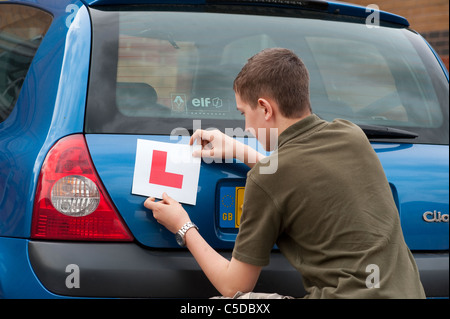 Ragazzo adolescente che fissa una piastra L alla parte posteriore di una Renault Clio prima di una lezione di guida. Foto Stock