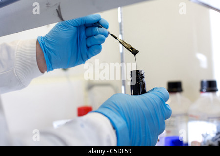 Mercoledì 6 luglio 2011 Lab tecnico al lavoro presso la Leeds Metropolitan University Bio laboratori di chimica. Foto Stock