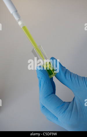 Mercoledì 6 luglio 2011 tecnico di laboratorio utilizzando una pipetta a Leeds Metropolitan University Bio laboratori di chimica. Foto Stock