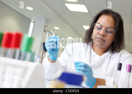 Tecnico di laboratorio test chimici presso la Leeds Metropolitan University.Bio laboratori di chimica. Foto Stock