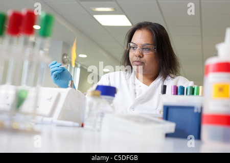 Tecnico di laboratorio test chimici presso la Leeds Metropolitan University.Bio laboratori di chimica. Foto Stock