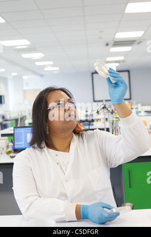 Luglio 2011 tecnico di laboratorio test chimici presso la Leeds Metropolitan University.Bio laboratori di chimica. Foto Stock