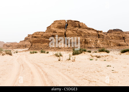 Wadi Arada deserto - Penisola del Sinai, Egitto Foto Stock