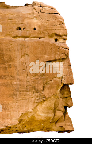 Faccia rock - Wadi Arada deserto - Penisola del Sinai, Egitto Foto Stock