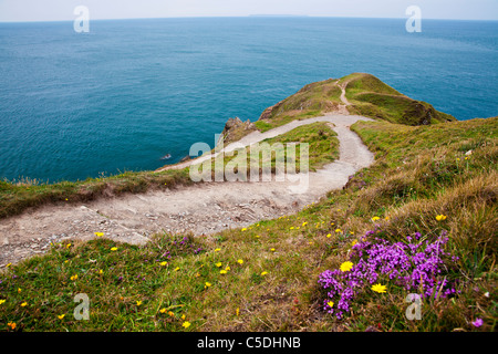 Vista del punto di larghi di un promontorio vicino Croyde, North Devon, Inghilterra, Regno Unito con Lundy Island in distanza. Foto Stock