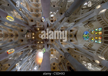 Il tetto dell'interno di Antoni Gaudi Sagrada Familia Foto Stock