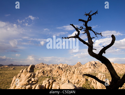 Un stranamente gneiss unica formazione di roccia nel sud-ovest americano nel deserto - Deserto Mojave, California USA Foto Stock