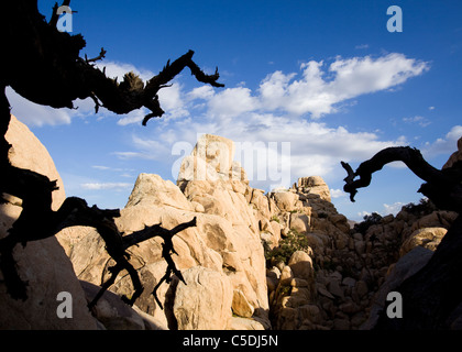 Un stranamente gneiss unica formazione di roccia nel sud-ovest americano nel deserto - Deserto Mojave, California USA Foto Stock