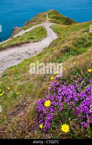 Vista del punto di larghi di un promontorio vicino Croyde, North Devon, Inghilterra, Regno Unito Foto Stock