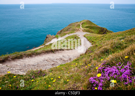 Vista del punto di larghi di un promontorio vicino Croyde, North Devon, Inghilterra, Regno Unito con Lundy Island in distanza. Foto Stock