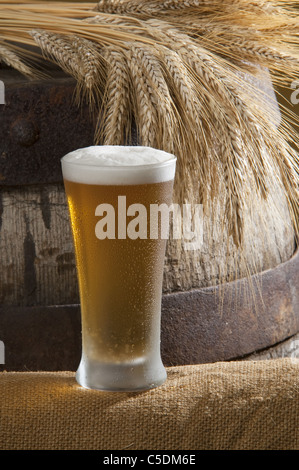 Bicchiere da birra con orzo e frumento Foto Stock