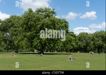 I campi di Londra a Hackney, Regno Unito Foto Stock