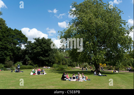 I giovani aventi picnic in Hyde Park, London, Regno Unito Foto Stock