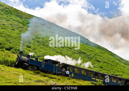 Furka Bergstrecke vapore ferrovia dentata Gletsch, Vallese, Svizzera Foto Stock