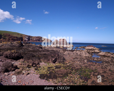 St Abbs Harbour, Berwickshire. La Scozia. Vista verso, Nero Carr. Foto Stock