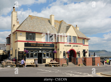 Bracci di Cobb Lyme Regis Foto Stock