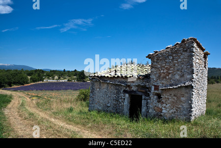 Paesaggio arounoldd Mont Ventoux (Vaucluse,Francia) Foto Stock