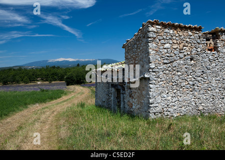 Paesaggio arounoldd Mont Ventoux (Vaucluse,Francia) Foto Stock