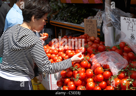 Asian donna cinese raccolta di pomodori freschi ortaggi dalla stalla al di fuori di un negozio a Chinatown toronto ontario canada Foto Stock